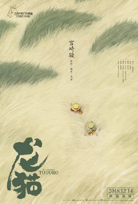 喀山联邦大学公共管理文凭证书